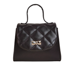 Black Beauty Purse